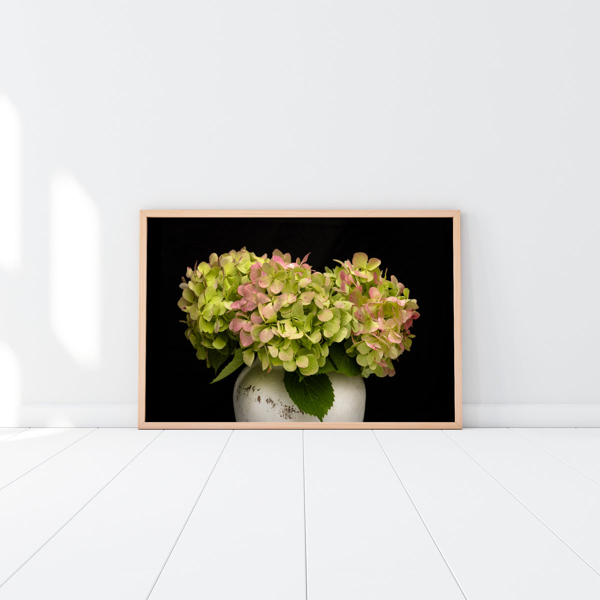 Hydrangea Flowers Wall Art NZ One Thousand Blooms