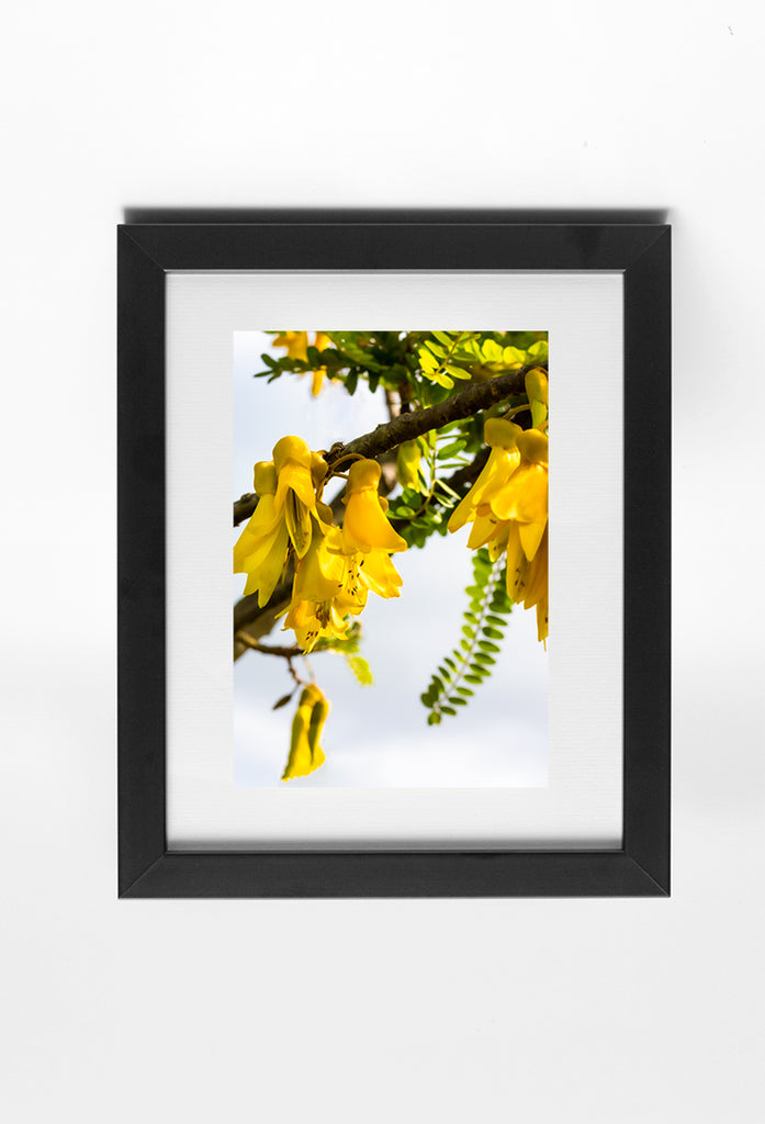 Kowhair Flower Wall Print with Black frame