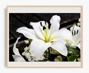 In Love with a Lily