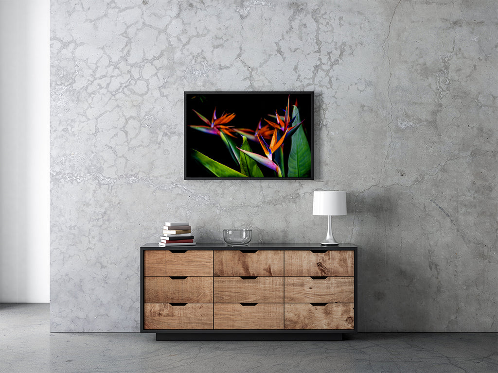 Birds of Paradise Wall Art with black frame