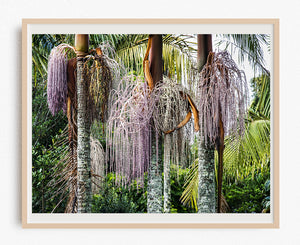 Nikau Palm Nectar - Limited Edition
