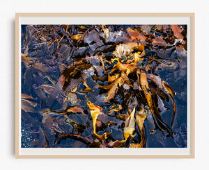 Temperatures Rising - Limited Edition