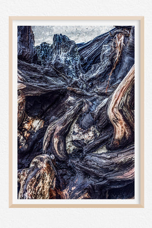 Holding Space and Time - Limited Edition
