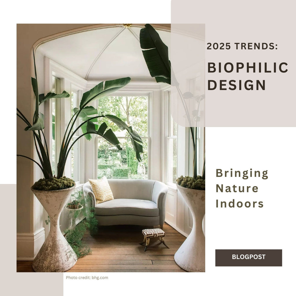 Biophilic Design: Bringing Nature Indoors