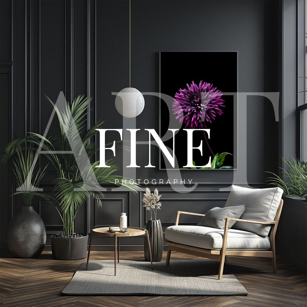 From Gallery Walls to Kiwi Homes: The Photographic Art Boom has landed