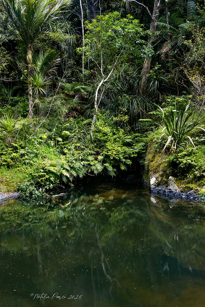 Ahuroa-River-art-nz