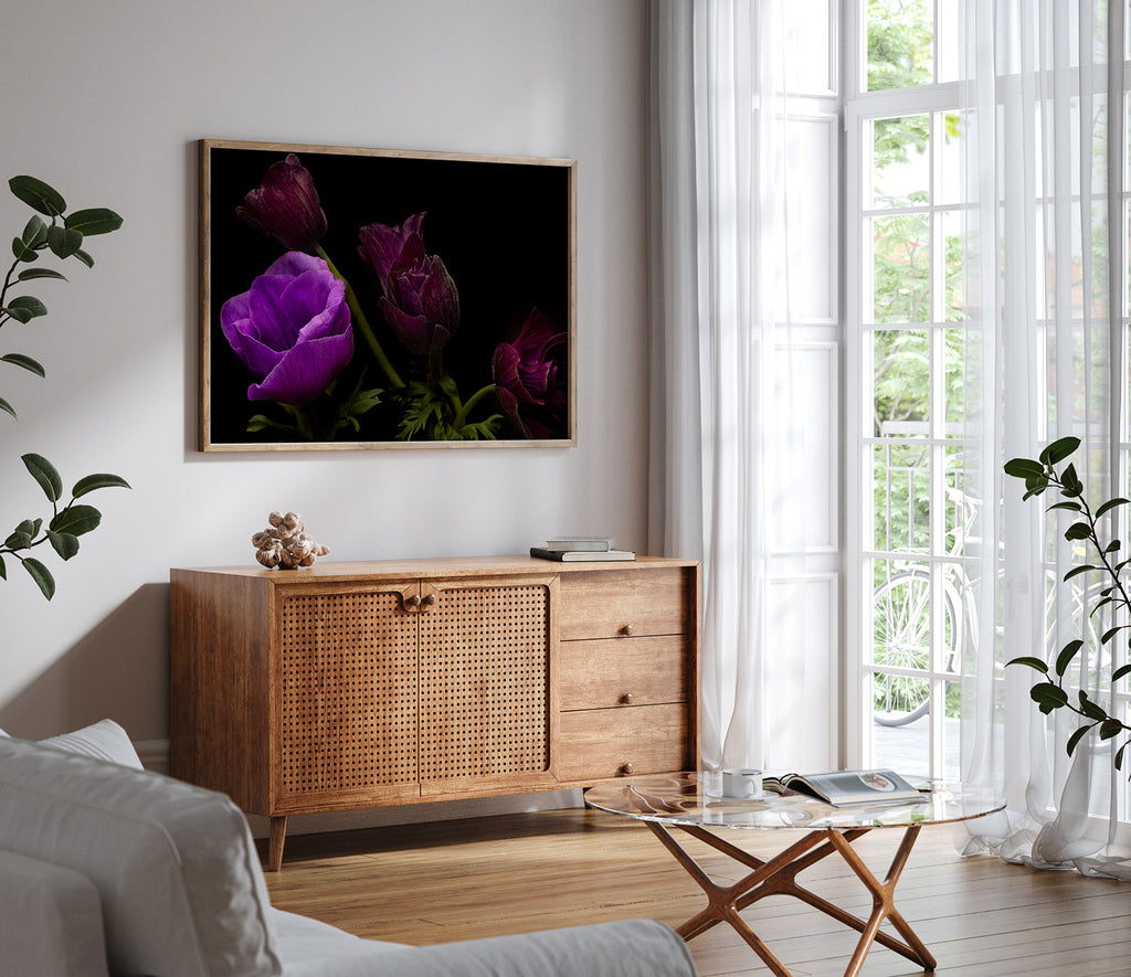 Anemone-flower-wall-print