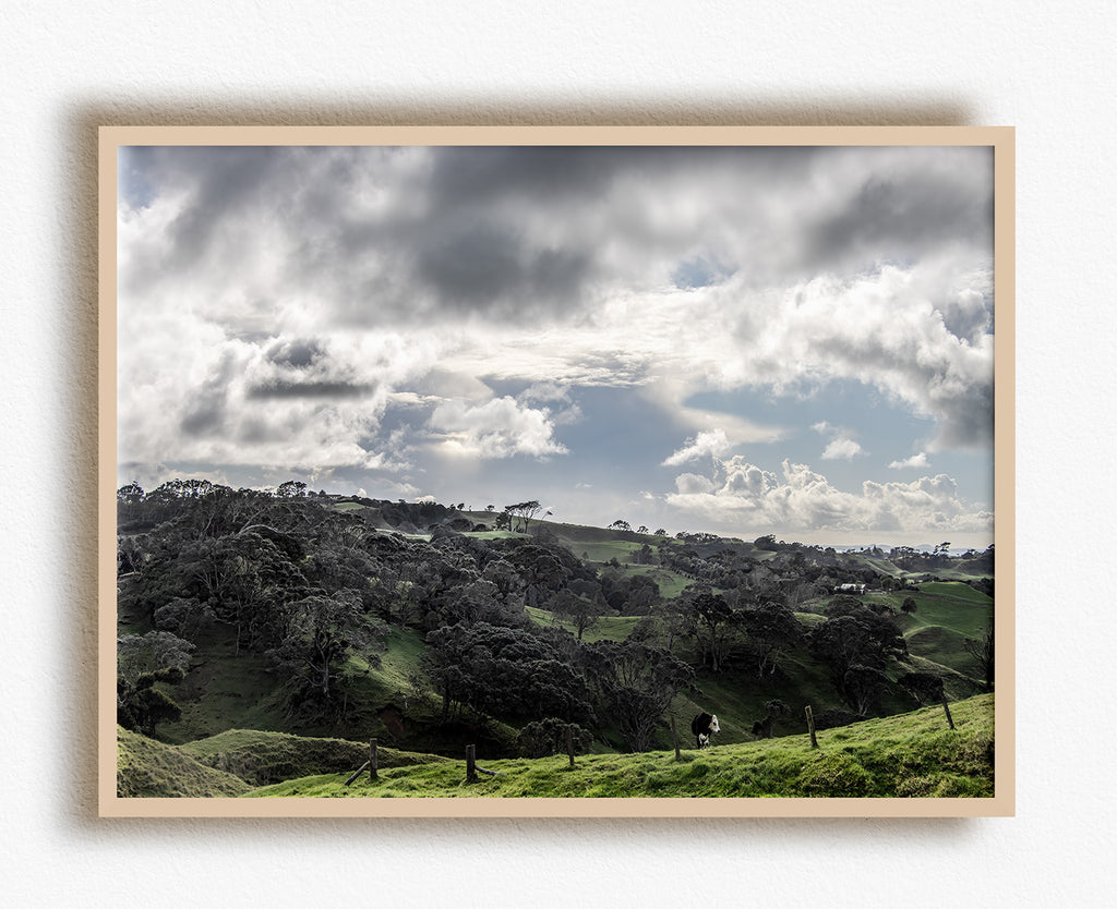 Awhitu-farmland-framed-art-nz