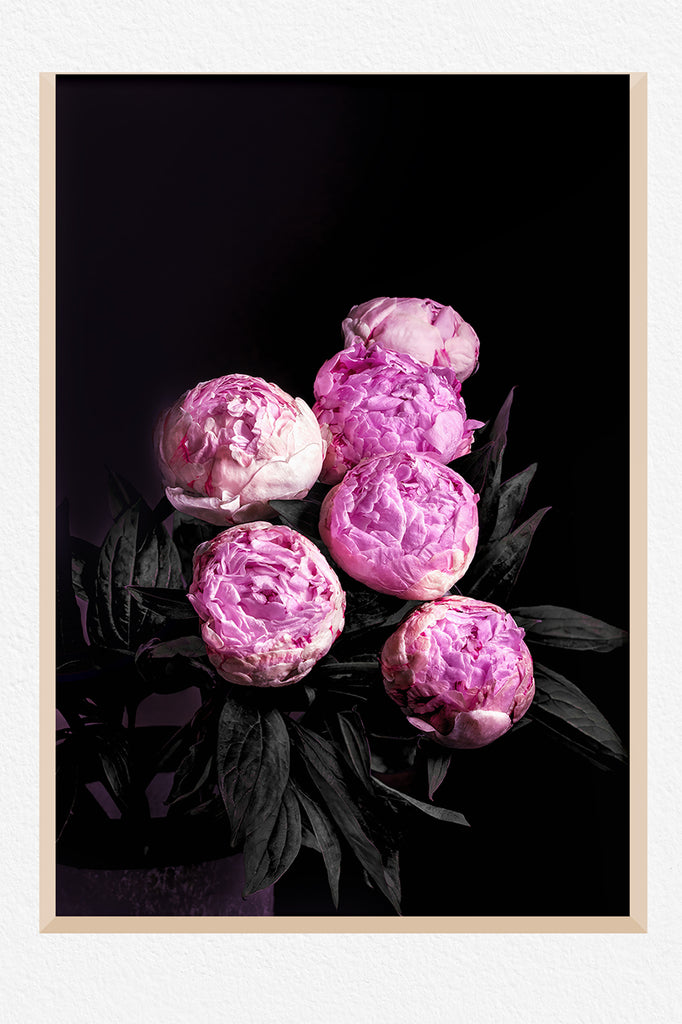 Bunch-of-peony-buds-wall-art-nz