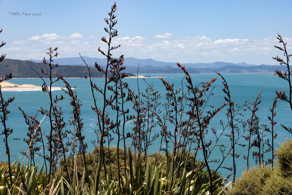 Hokianga-Beach-Art-NZ