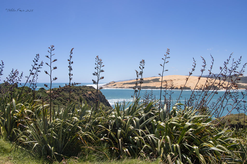 Hokianga-Harbour-Wall-Art