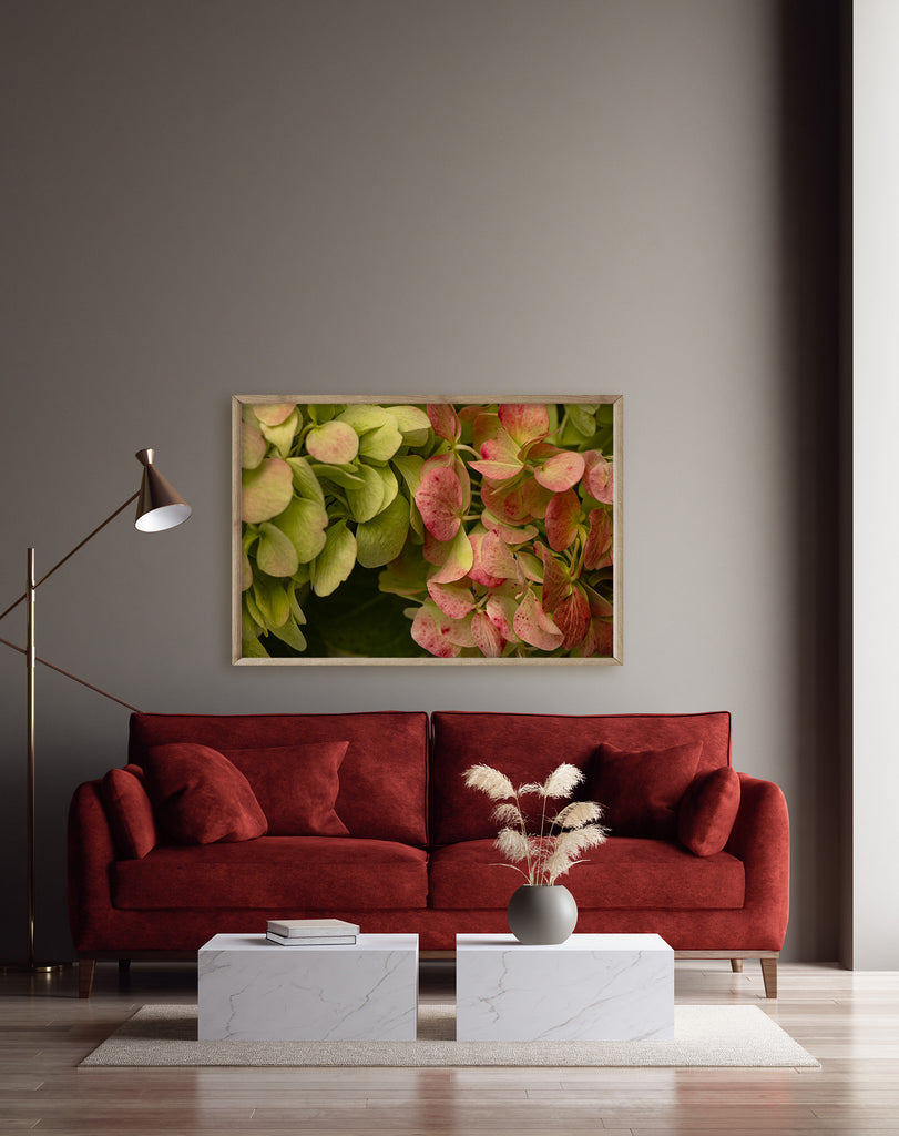 Hydrangea-petal-wall-print