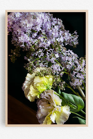 Where Spring Waited