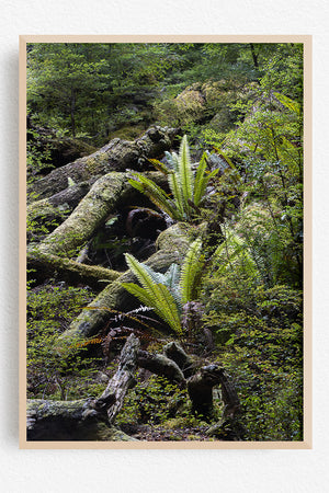 Folded back into life