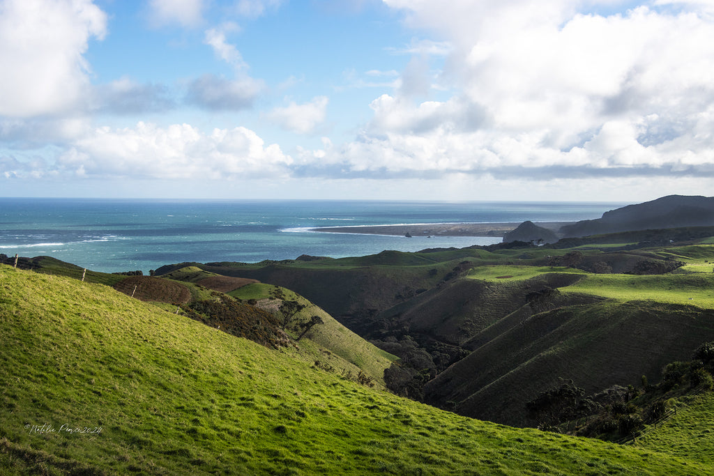 manukau-heads-coastal-art