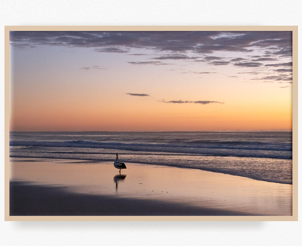 pelican-at-sunrise-beach-art