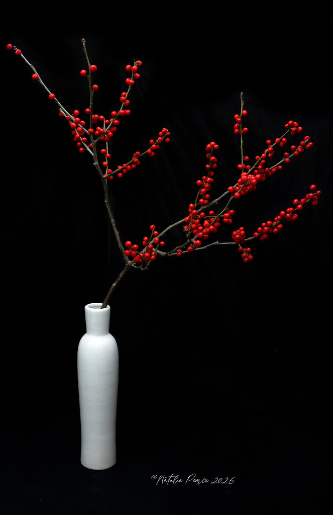 Red-Berry-Branch-Wall-Art