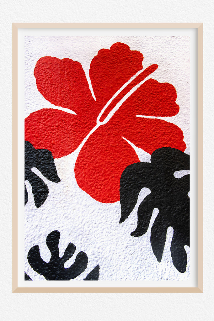 Street-Art-Flower-Art-Prints