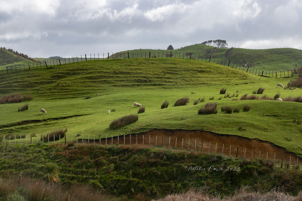 Te-Karaka-Farm-Wall-Art-NZ