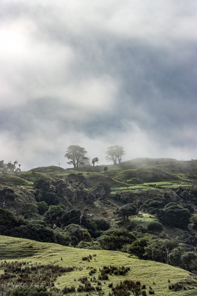 Waikaretu-Mist-Wall-Art-NZ