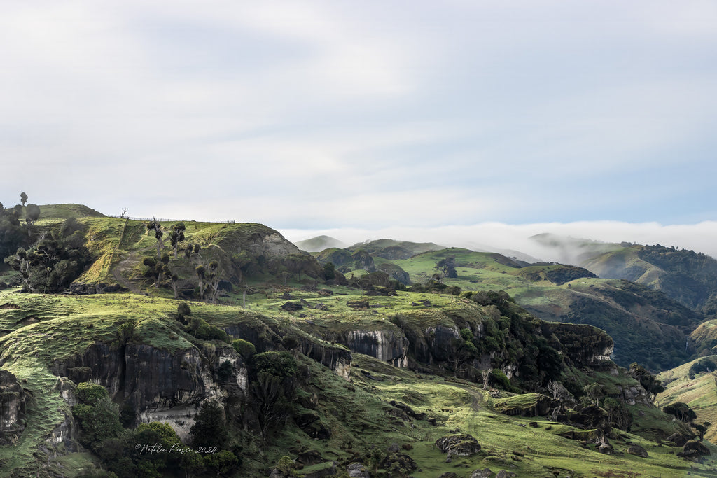 Waikaretu-Region-Landscape-Art-NZ