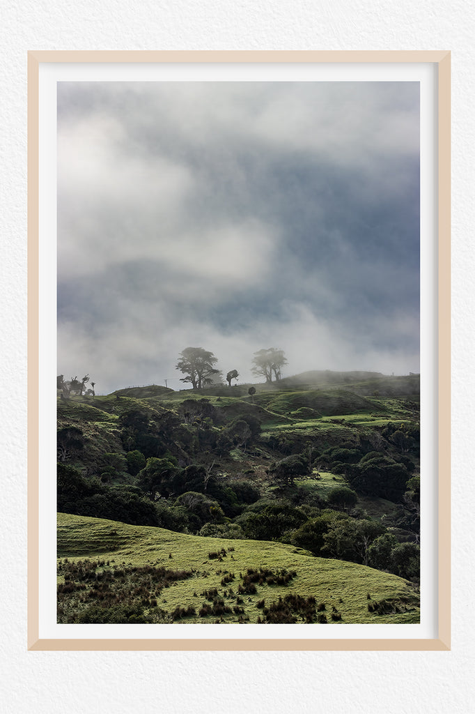 Waikaretu-region-wall-art-nz