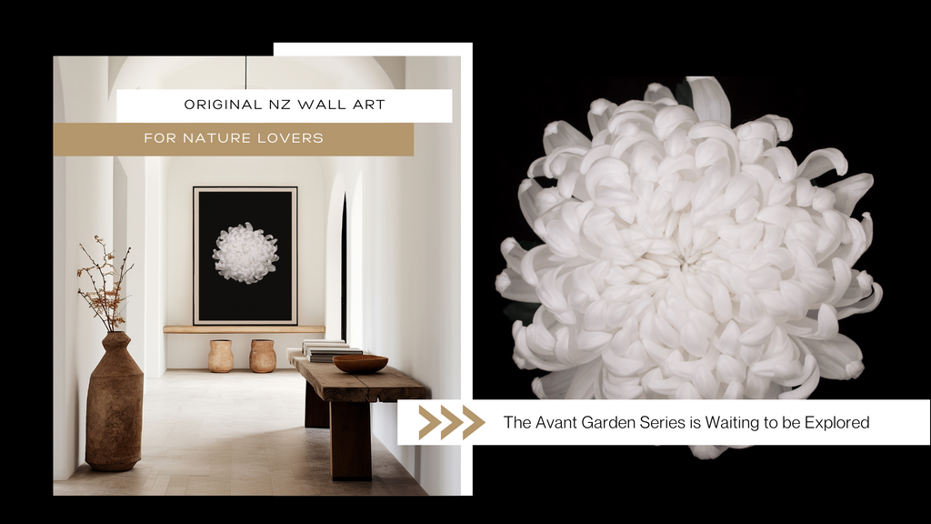 white-chrysanthemum-wall-print