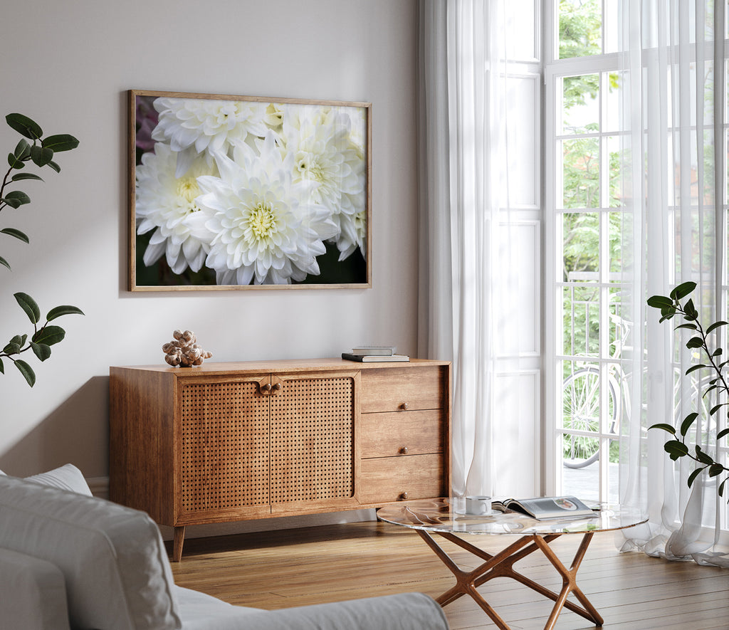 White-Chrysanthemum-Wall-Art-NZ