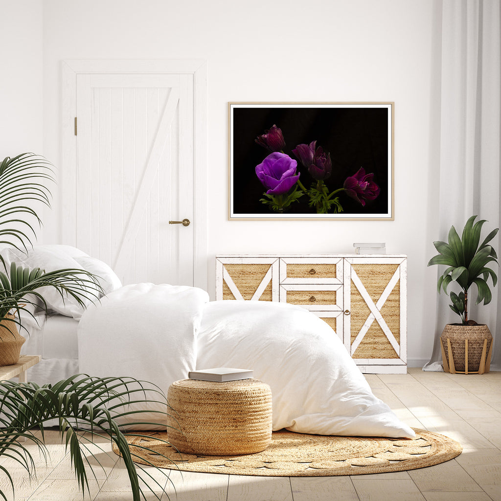 anemone-floral-fine-art-print