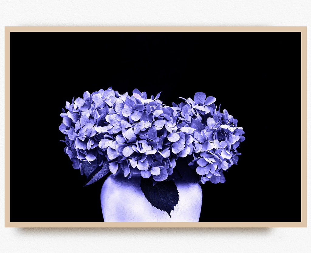 blue-hydrangea-wall-art-nz