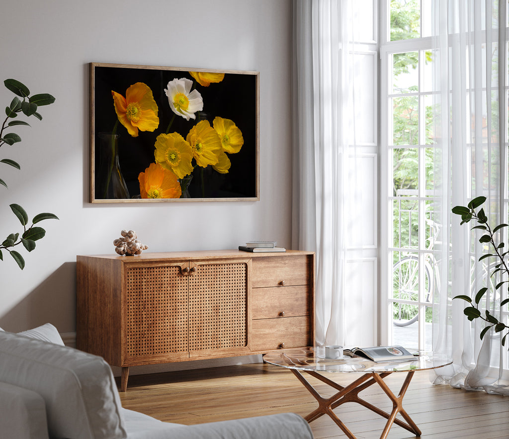 bright-poppy-wall-art-nz