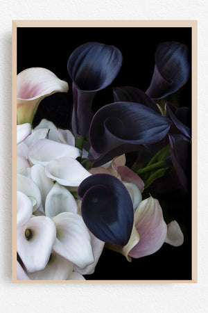 The Third Colour