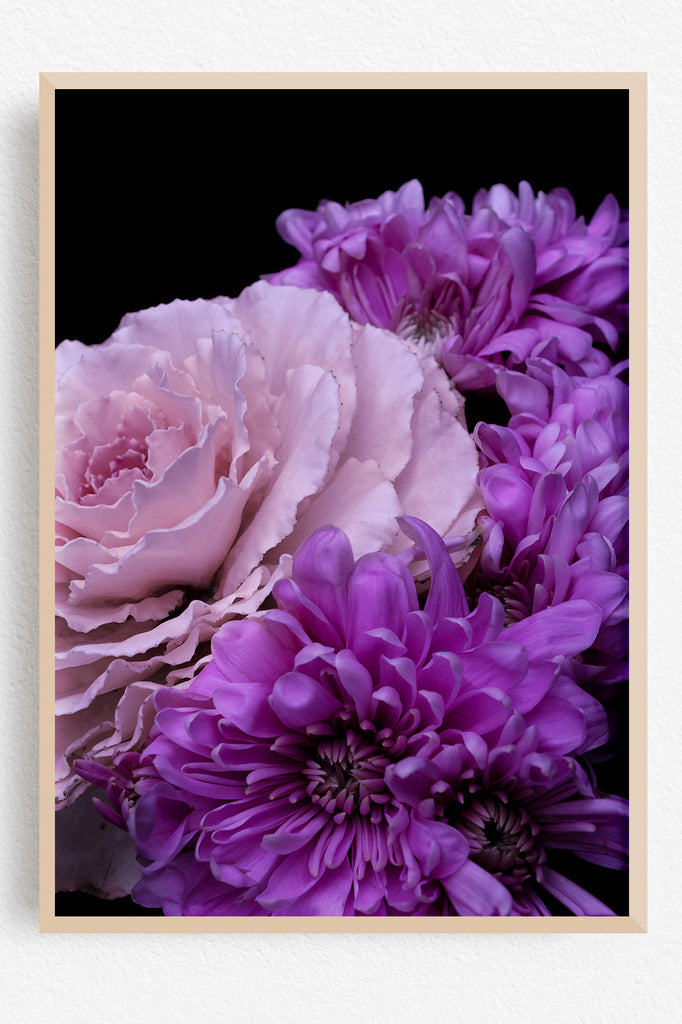 Framed photograph of pink and purple flowers on a black background