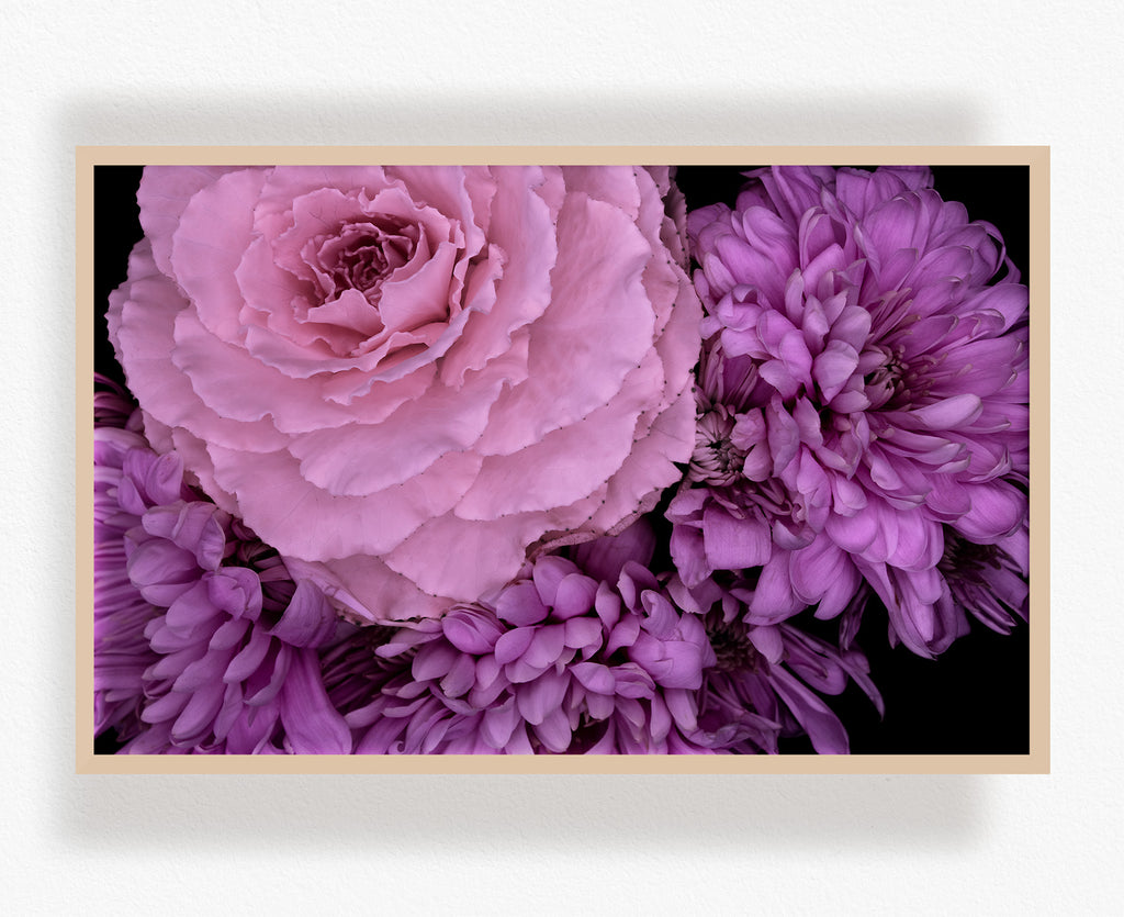 Framed artwork of pink and purple flowers on a black background