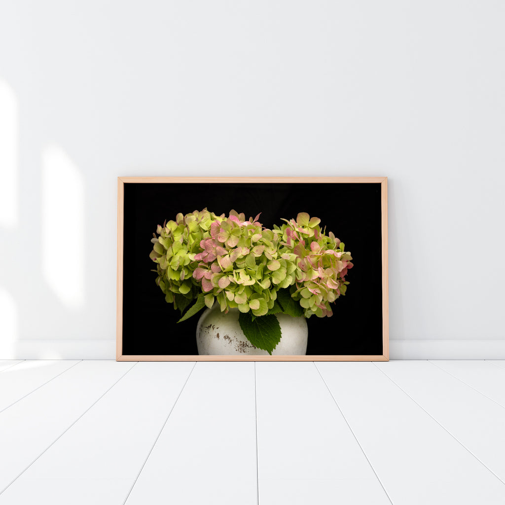 hydrangea-flowers-wall-print
