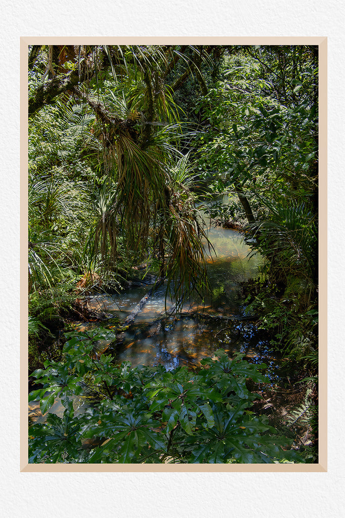 kauri-forest-wall-art-nz