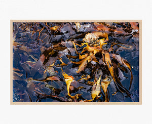 Temperatures Rising - Limited Edition