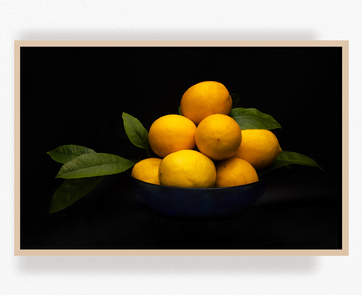 Lemon Still Life | Wall Art NZ – One Thousand Blooms