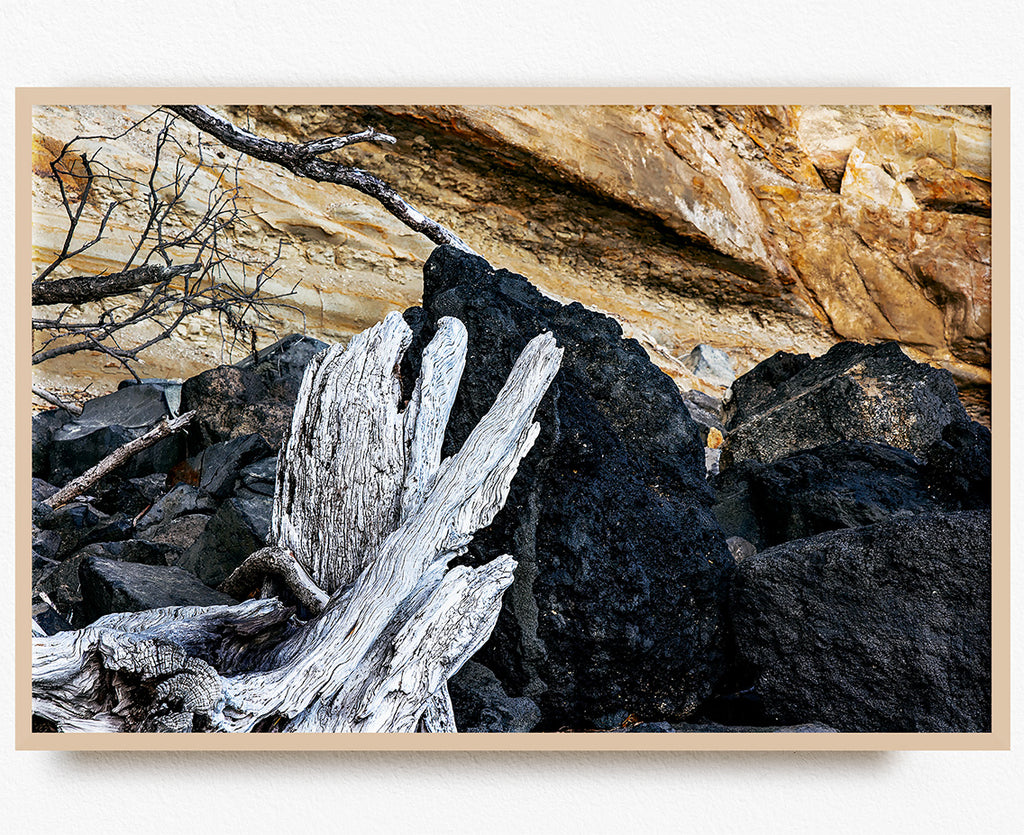 narrow-neck-beach-art-nz