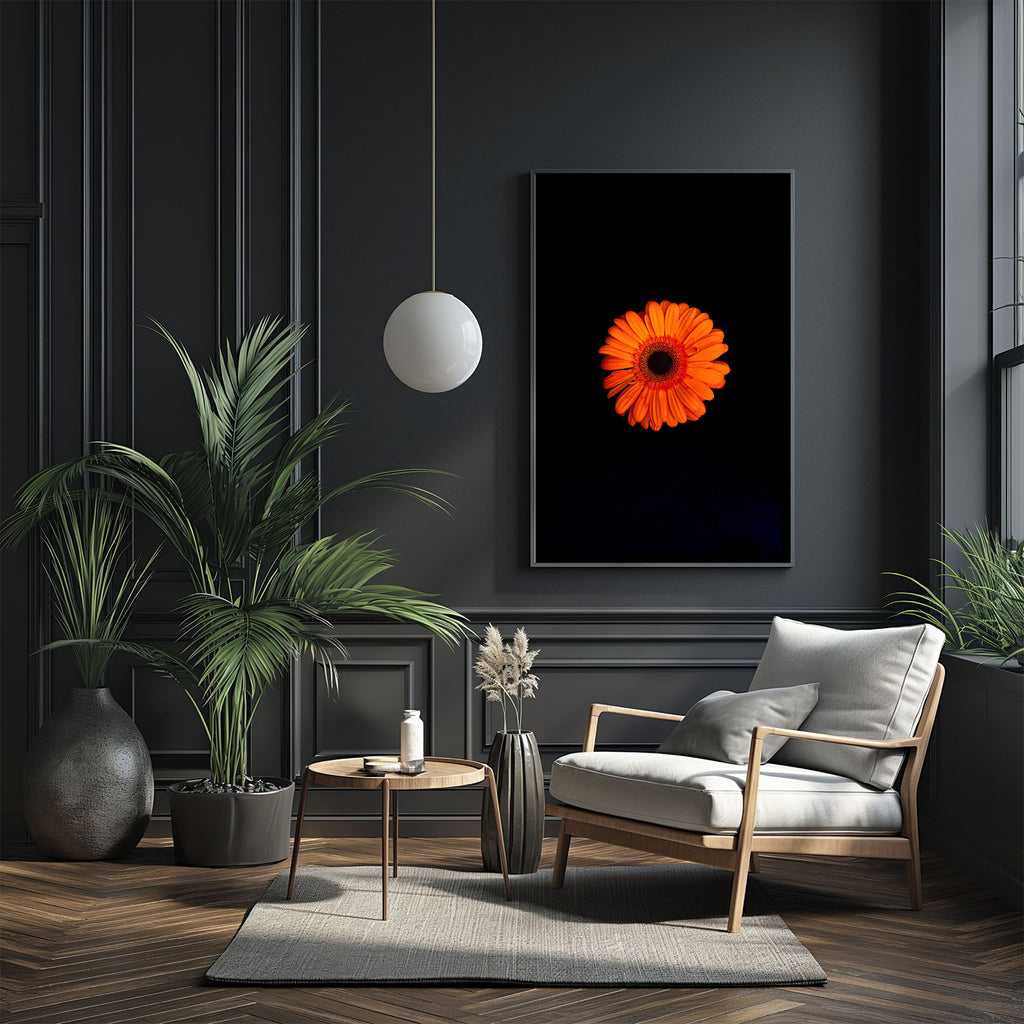 orange-gerbera-art-prints