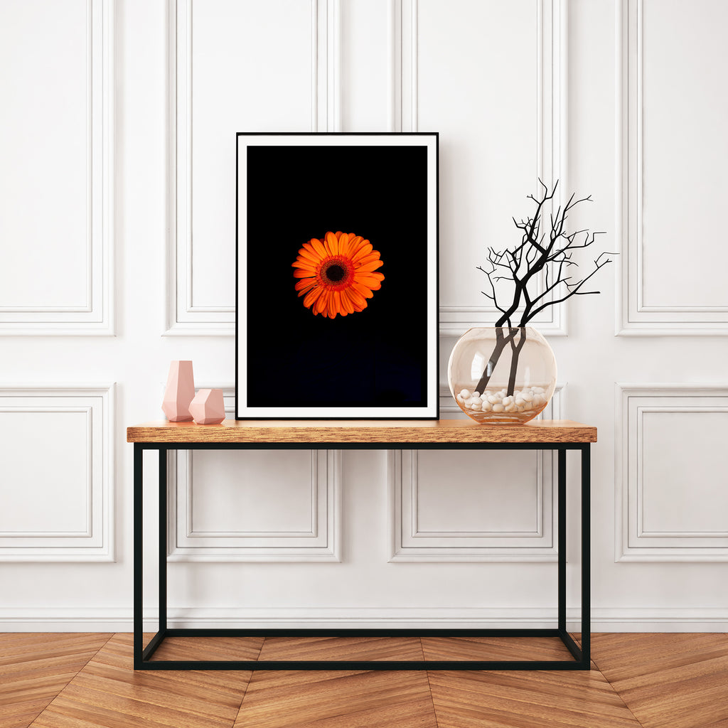 orange-gerbera-nz-art