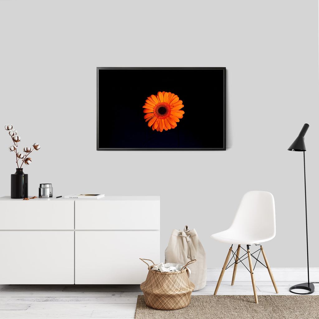 orange-gerbera-wall-art