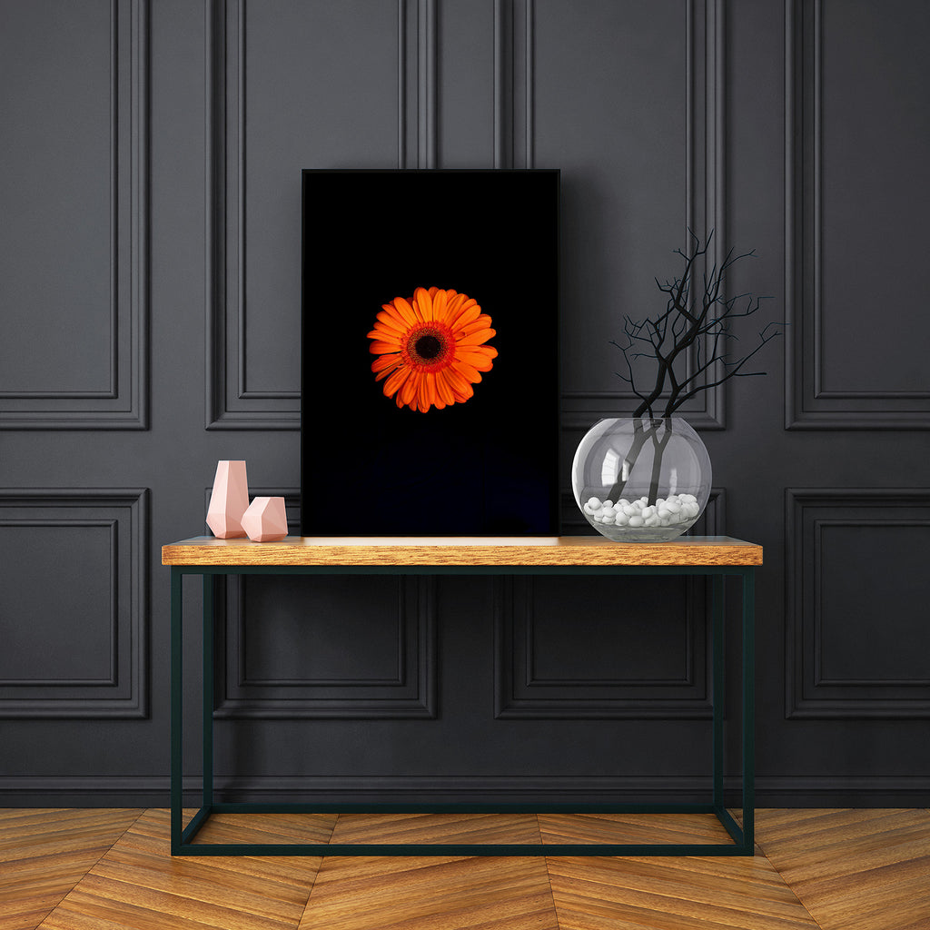 orange-gerbera-wall-prints-nz