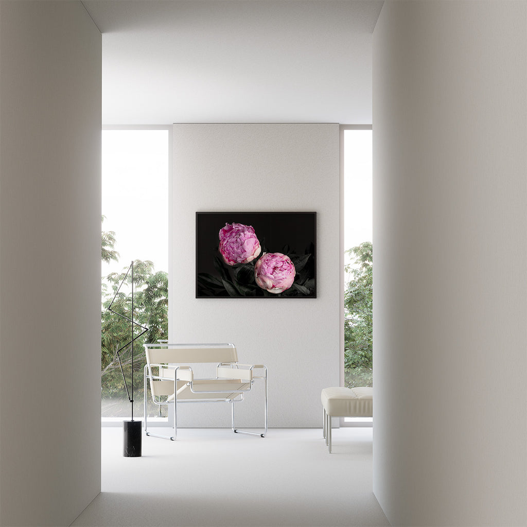 peony-flowers-wall-prints