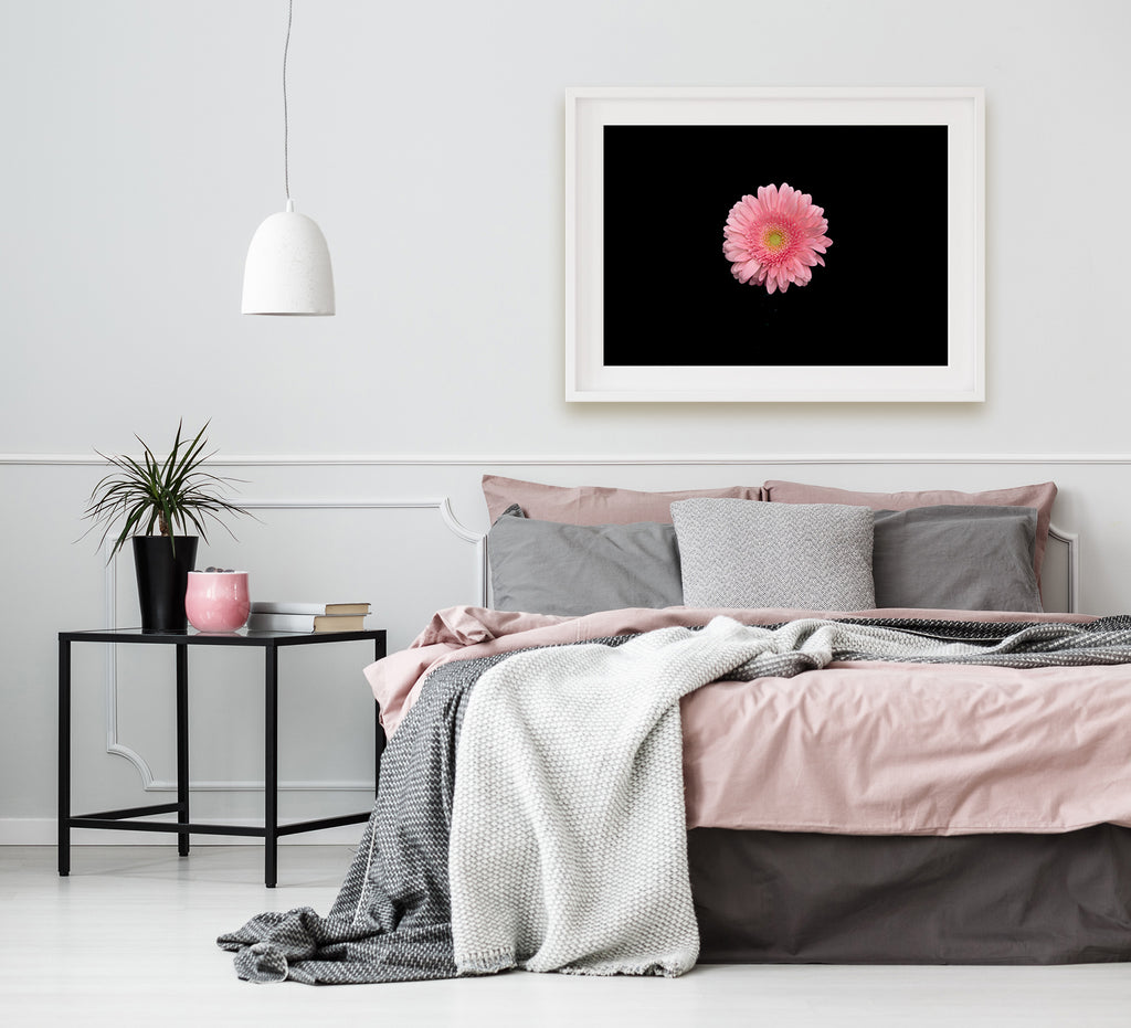 pink-gerbera-flower-prints