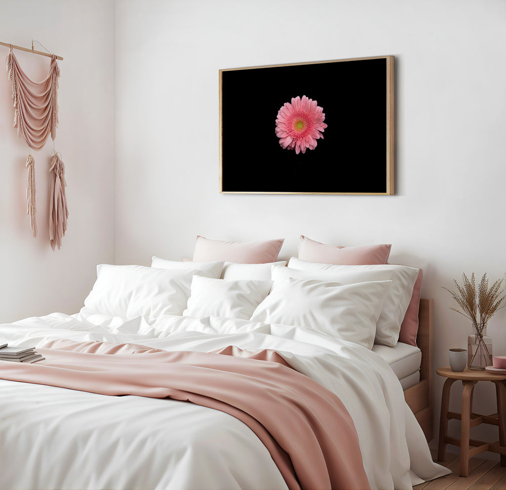 pink-gerbera-wall-prints-nz