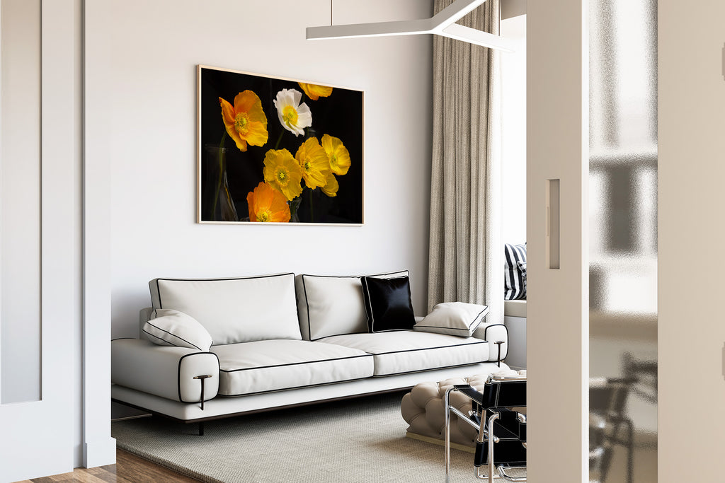 poppies-fine-art-photography