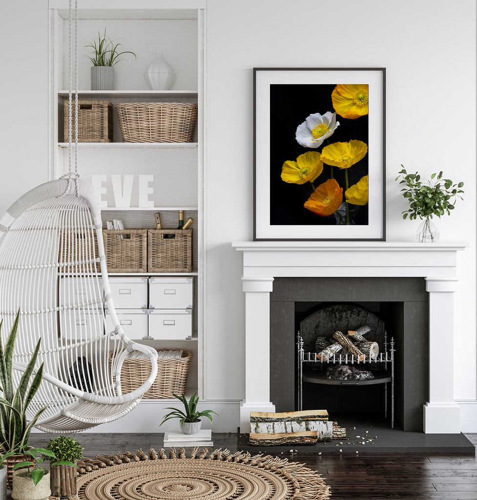 poppies-wall-art-nz