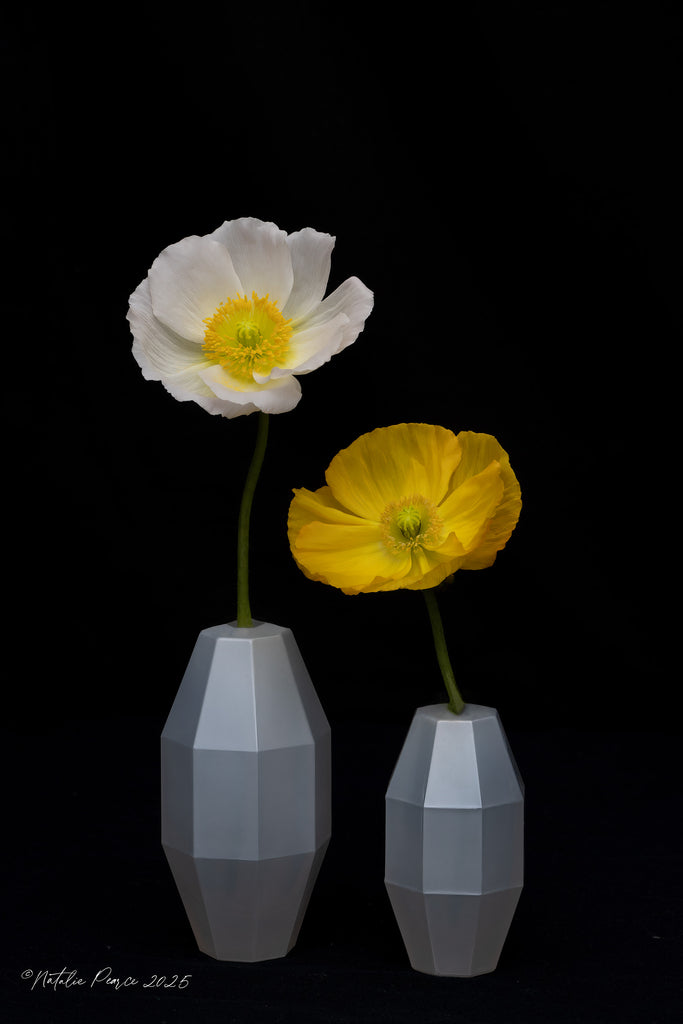 poppy-in-vase-wall-art-nz