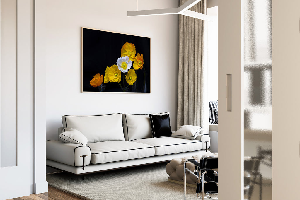 poppy-wall-prints